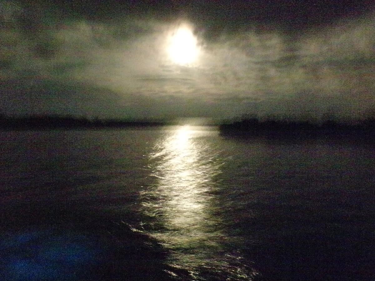 Night water with bioluminescent glow — representative of Cayman bio kayak tours