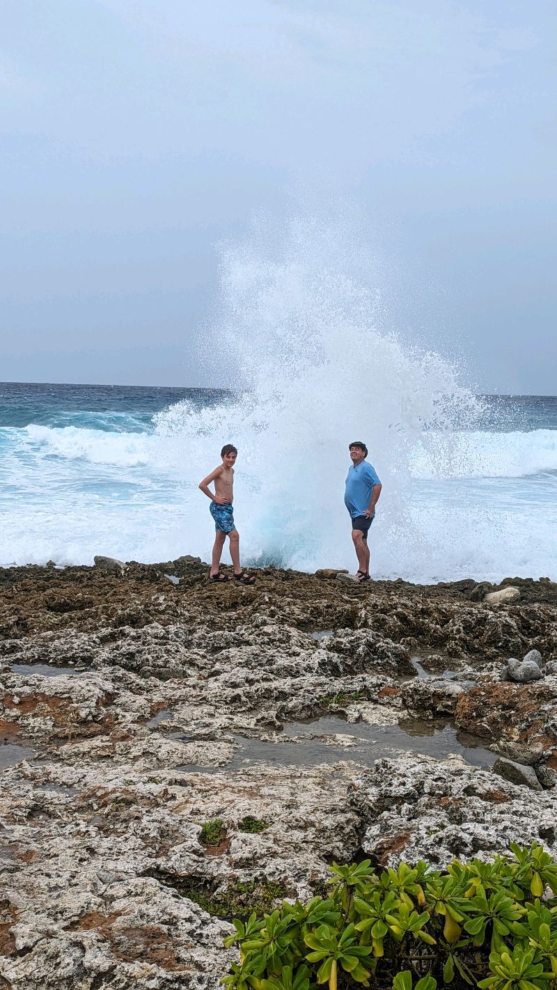 The Blowholes