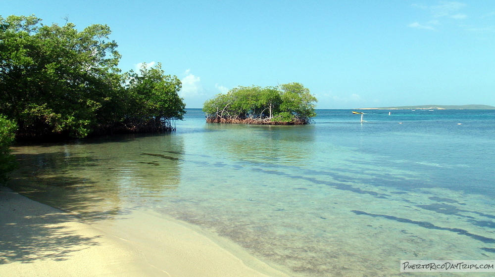 Caña Gorda / Gilligan’s Island area