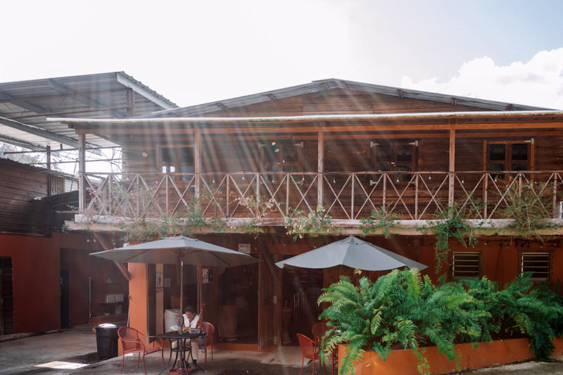 Central mountain coffee (Jayuya / Adjuntas area)
